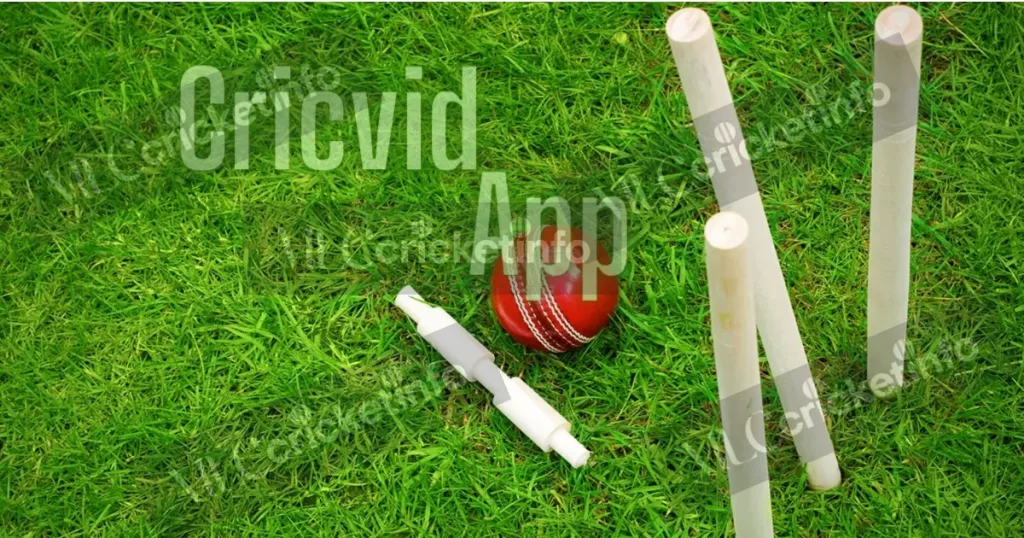 live cricket info cricvid