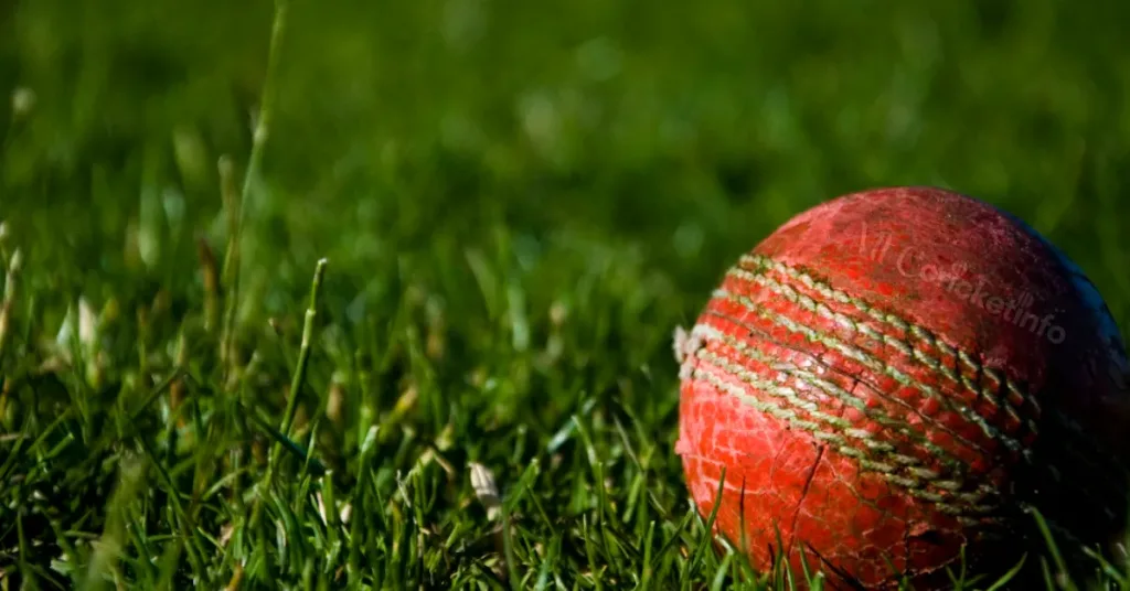 live cricket info MyLiveCricket Alternatives